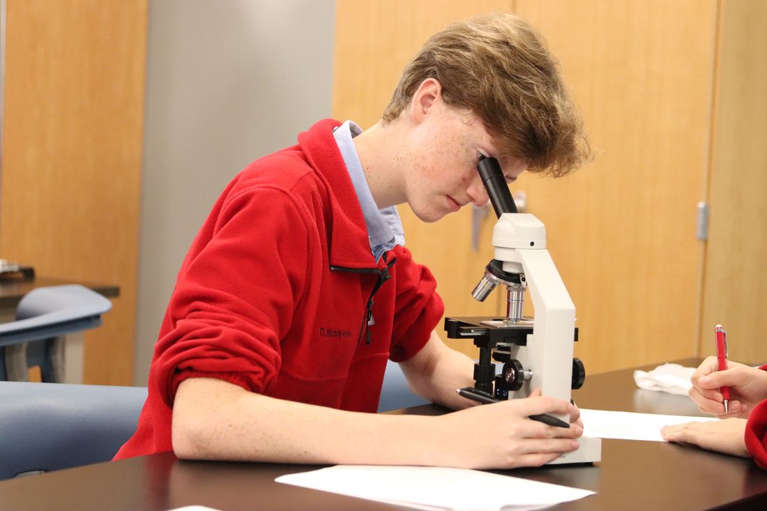 A Rummel student at the microscope